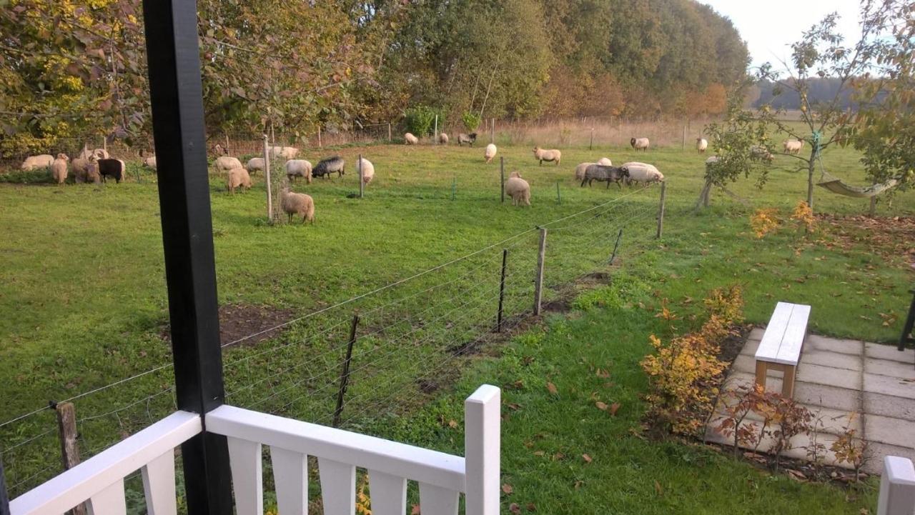 Pipowagen Elsebein Groningen Westerwolde Unieke Ligging Met Eigen Tuin En Vrij Uitzicht Over Veld Naar Natuurgebied Onstwedde Eksteriør bilde