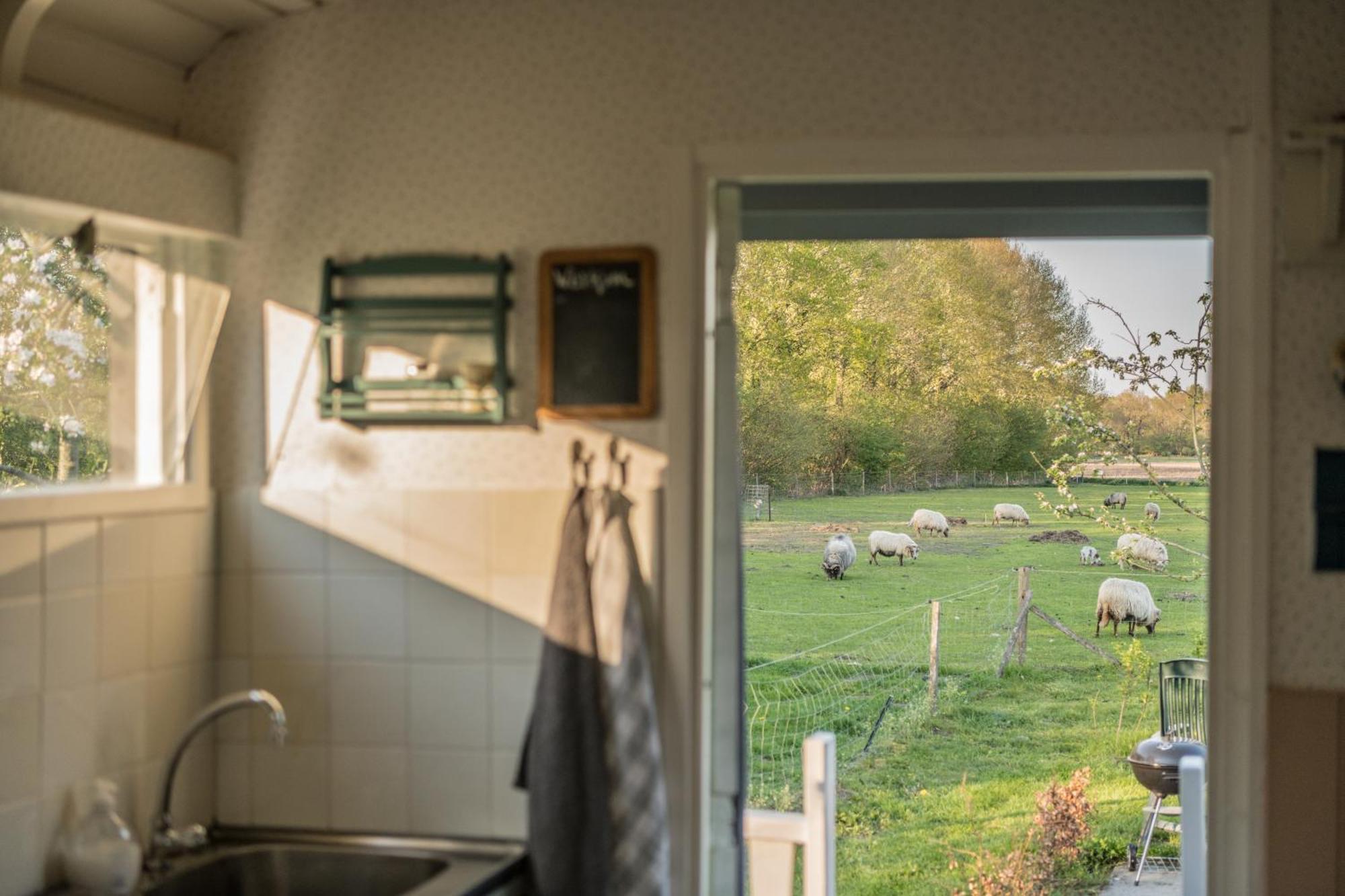 Pipowagen Elsebein Groningen Westerwolde Unieke Ligging Met Eigen Tuin En Vrij Uitzicht Over Veld Naar Natuurgebied Onstwedde Eksteriør bilde
