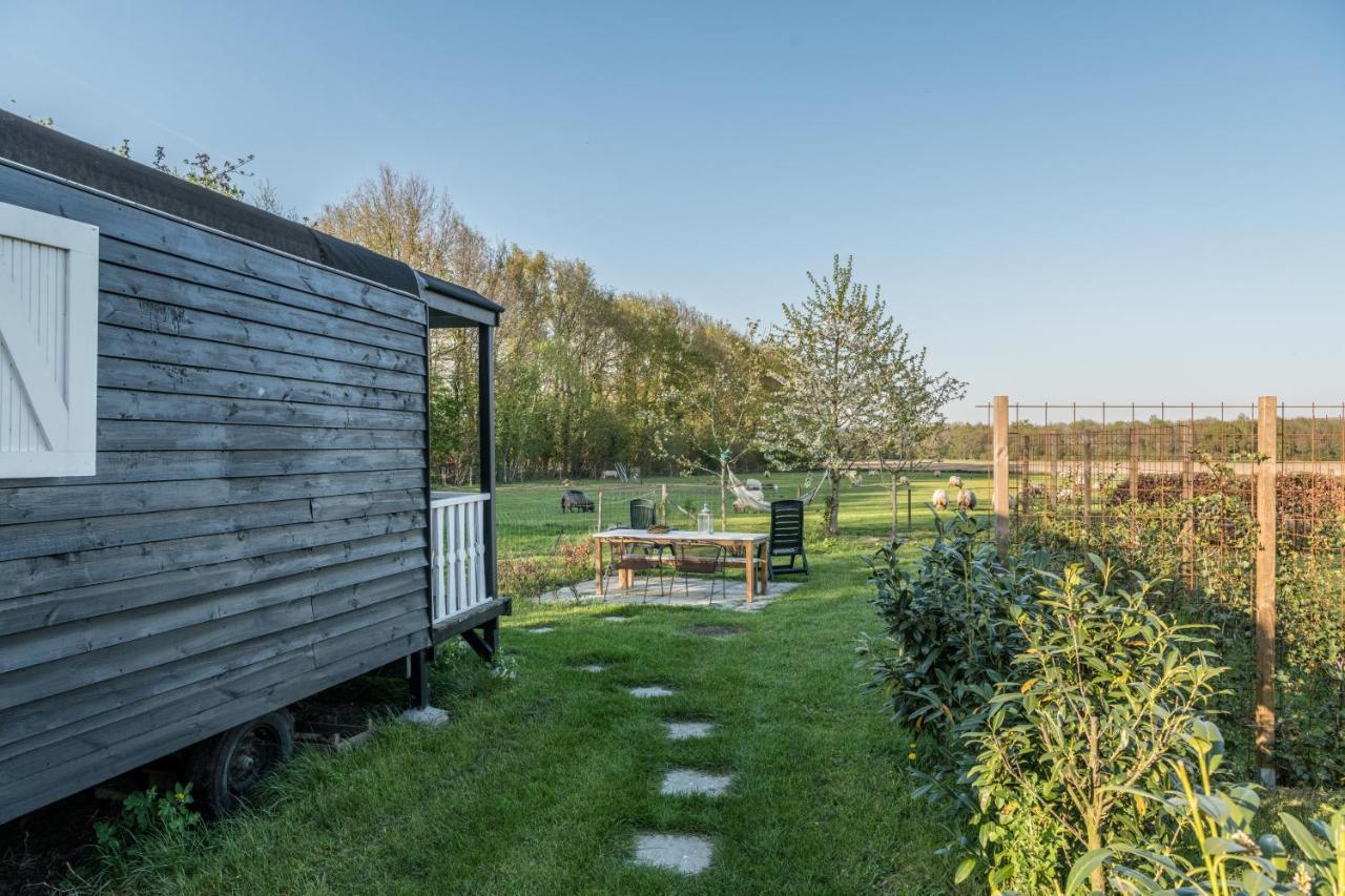 Pipowagen Elsebein Groningen Westerwolde Unieke Ligging Met Eigen Tuin En Vrij Uitzicht Over Veld Naar Natuurgebied Onstwedde Eksteriør bilde